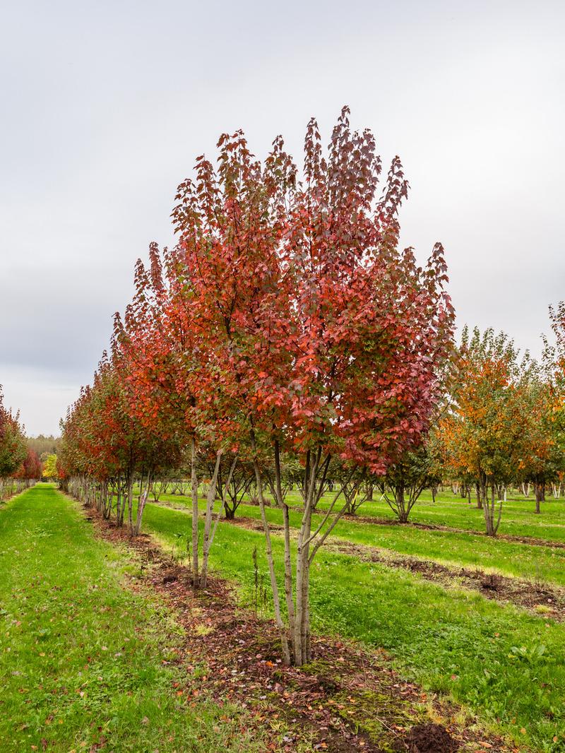 Instalacja systemu na laptopie Acer