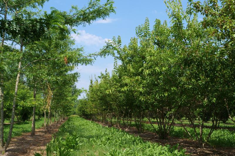 Konfiguracja pulpitu na komputerze Acer